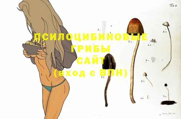 крисы Армянск