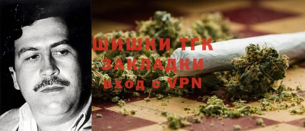 сатива Россошь